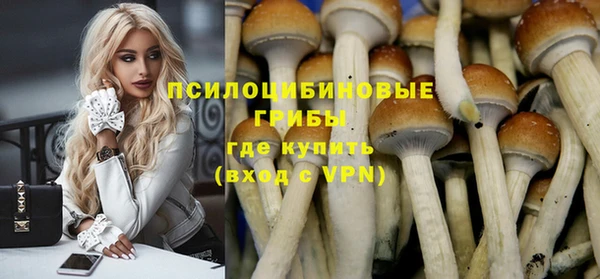 Альфа ПВП Бородино